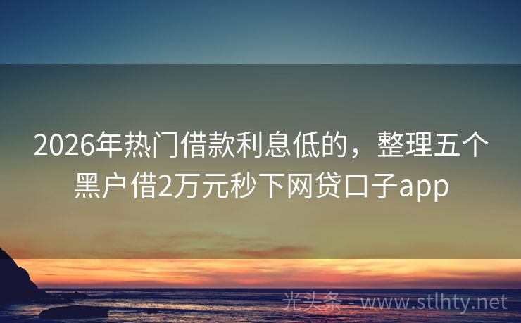 2026年热门借款利息低的，整理五个黑户借2万元秒下网贷口子app
