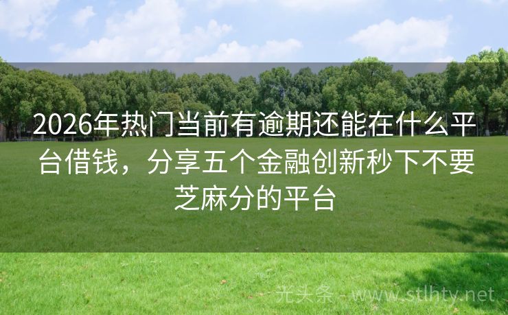 2026年热门当前有逾期还能在什么平台借钱，分享五个金融创新秒下不要芝麻分的平台