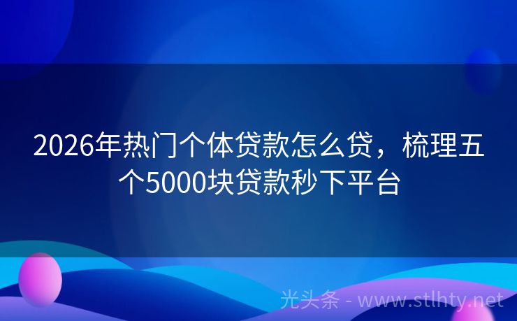 2026年热门个体贷款怎么贷，梳理五个5000块贷款秒下平台