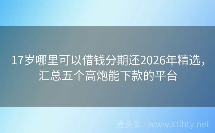 17岁哪里可以借钱分期还2026年精选，汇总五个高炮能下款的平台