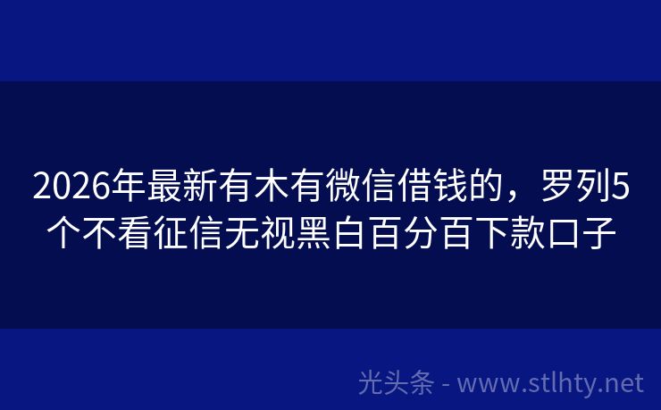 2026年最新有木有微信借钱的，罗列5个不看征信无视黑白百分百下款口子