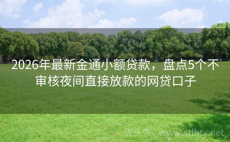 2026年最新金通小额贷款，盘点5个不审核夜间直接放款的网贷口子