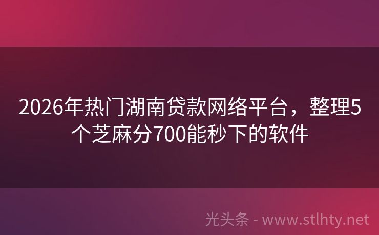 2026年热门湖南贷款网络平台，整理5个芝麻分700能秒下的软件