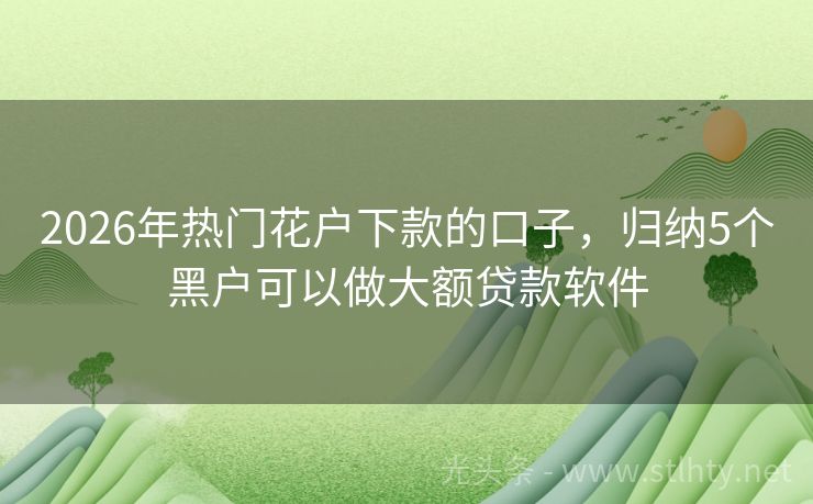 2026年热门花户下款的口子，归纳5个黑户可以做大额贷款软件