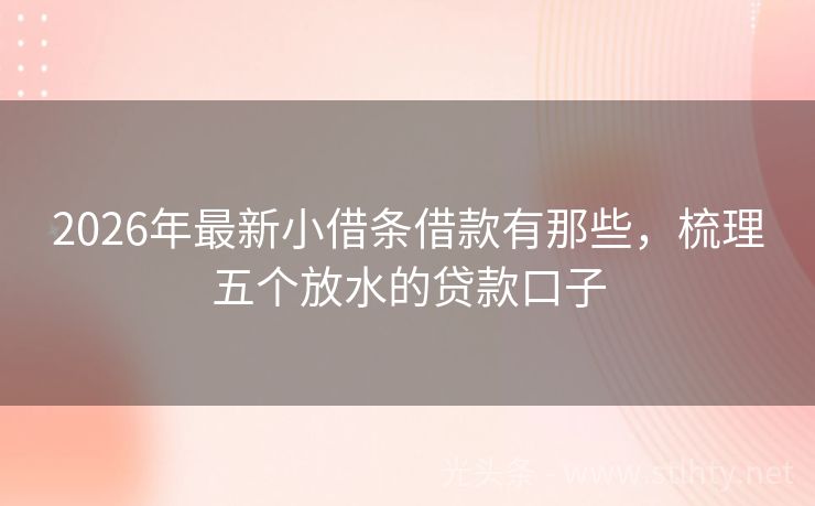 2026年最新小借条借款有那些，梳理五个放水的贷款口子