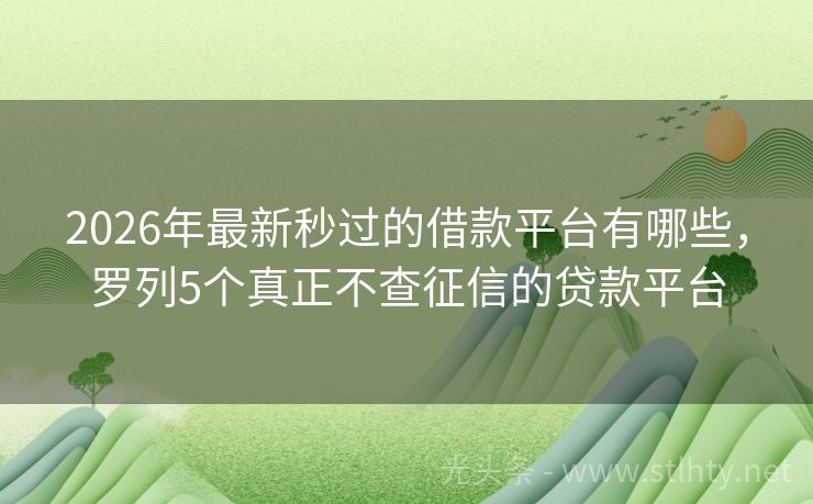 2026年最新秒过的借款平台有哪些，罗列5个真正不查征信的贷款平台