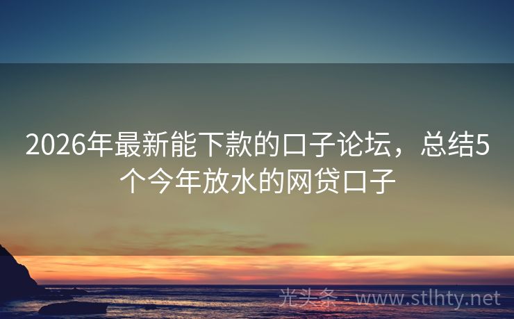 2026年最新能下款的口子论坛，总结5个今年放水的网贷口子