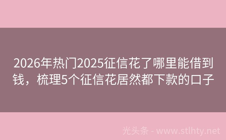2026年热门2025征信花了哪里能借到钱，梳理5个征信花居然都下款的口子