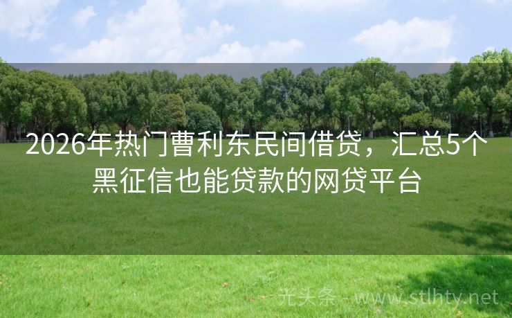 2026年热门曹利东民间借贷，汇总5个黑征信也能贷款的网贷平台