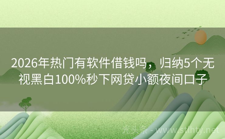 2026年热门有软件借钱吗，归纳5个无视黑白100%秒下网贷小额夜间口子