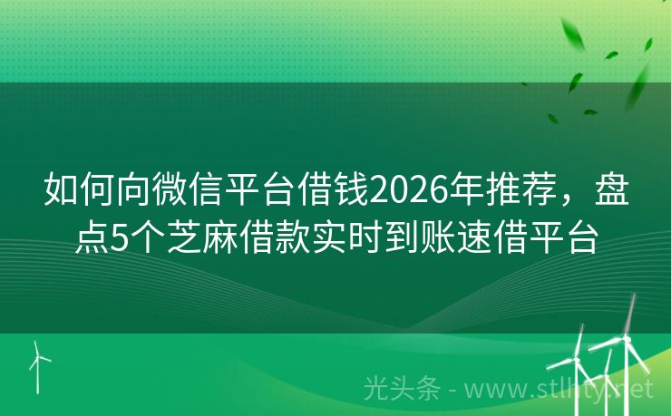 如何向微信平台借钱2026年推荐，盘点5个芝麻借款实时到账速借平台