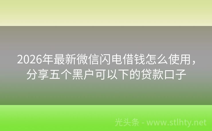 2026年最新微信闪电借钱怎么使用，分享五个黑户可以下的贷款口子