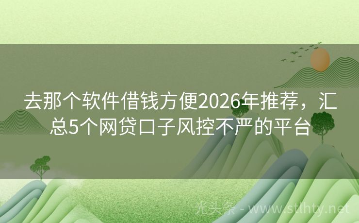 去那个软件借钱方便2026年推荐，汇总5个网贷口子风控不严的平台