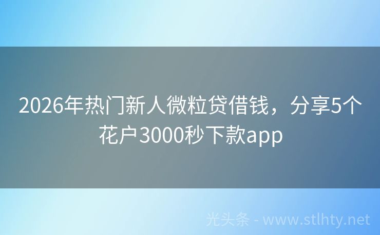 2026年热门新人微粒贷借钱，分享5个花户3000秒下款app