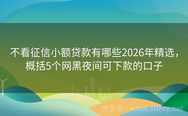 不看征信小额贷款有哪些2026年精选，概括5个网黑夜间可下款的口子
