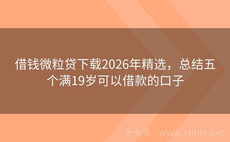 借钱微粒贷下载2026年精选，总结五个满19岁可以借款的口子