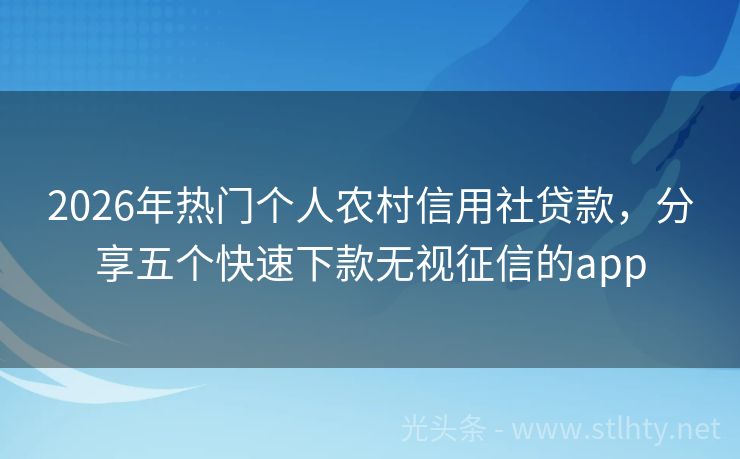 2026年热门个人农村信用社贷款，分享五个快速下款无视征信的app