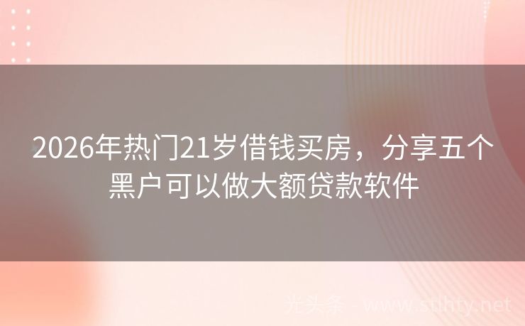 2026年热门21岁借钱买房，分享五个黑户可以做大额贷款软件