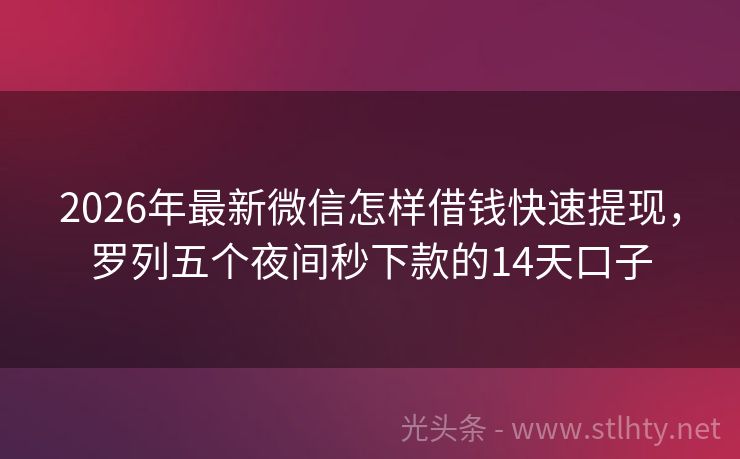 2026年最新微信怎样借钱快速提现，罗列五个夜间秒下款的14天口子