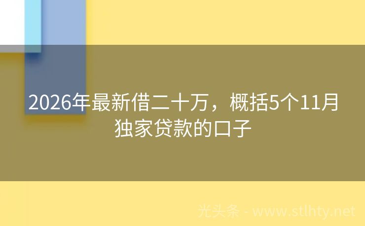 2026年最新借二十万，概括5个11月独家贷款的口子
