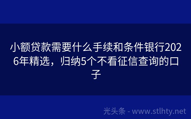 小额贷款需要什么手续和条件银行2026年精选，归纳5个不看征信查询的口子