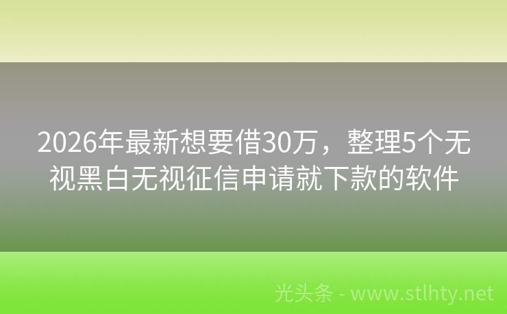2026年最新想要借30万，整理5个无视黑白无视征信申请就下款的软件