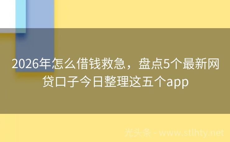 2026年怎么借钱救急，盘点5个最新网贷口子今日整理这五个app