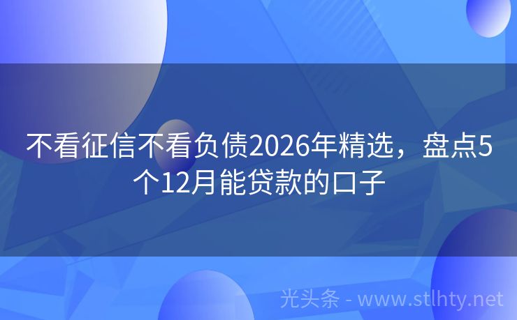 不看征信不看负债2026年精选，盘点5个12月能贷款的口子