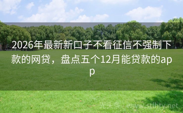 2026年最新新口子不看征信不强制下款的网贷，盘点五个12月能贷款的app