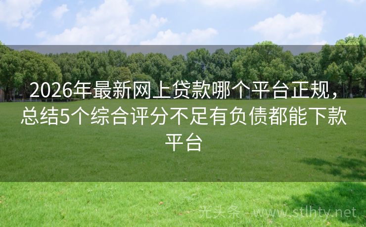 2026年最新网上贷款哪个平台正规，总结5个综合评分不足有负债都能下款平台