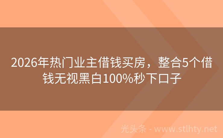 2026年热门业主借钱买房，整合5个借钱无视黑白100%秒下口子