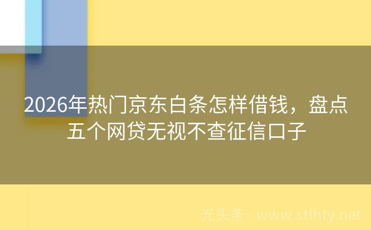 2026年热门京东白条怎样借钱，盘点五个网贷无视不查征信口子