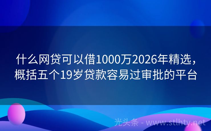 什么网贷可以借1000万2026年精选，概括五个19岁贷款容易过审批的平台