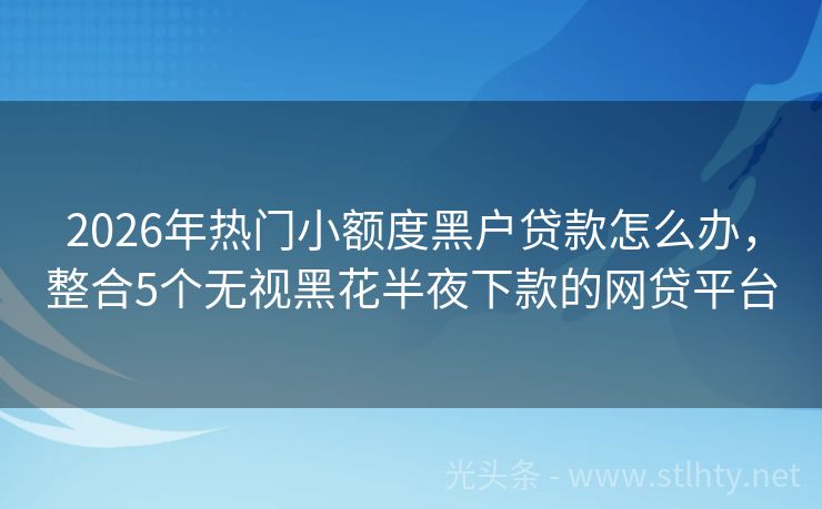 2026年热门小额度黑户贷款怎么办，整合5个无视黑花半夜下款的网贷平台