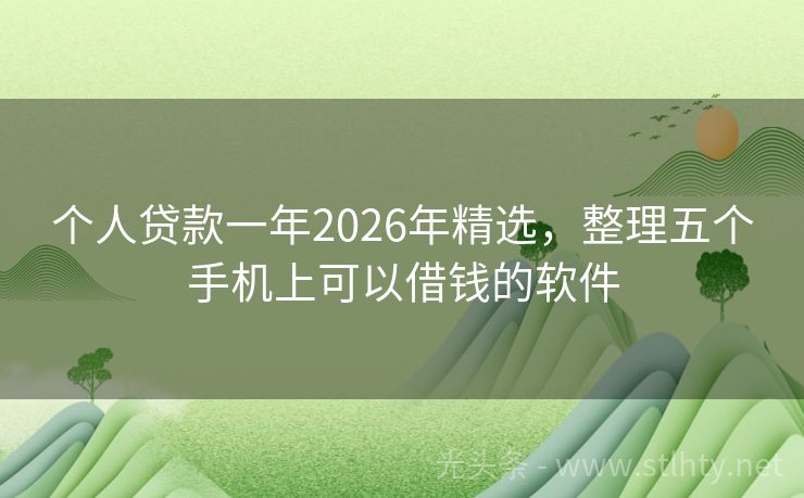 个人贷款一年2026年精选，整理五个手机上可以借钱的软件