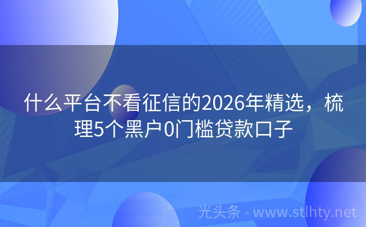 什么平台不看征信的2026年精选，梳理5个黑户0门槛贷款口子