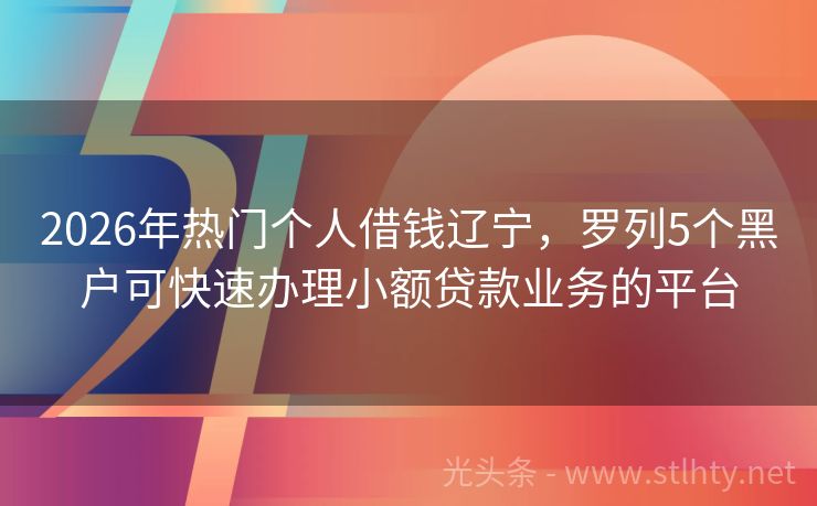 2026年热门个人借钱辽宁，罗列5个黑户可快速办理小额贷款业务的平台
