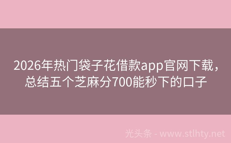 2026年热门袋子花借款app官网下载，总结五个芝麻分700能秒下的口子