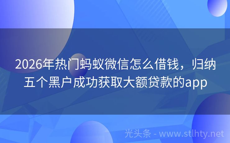 2026年热门蚂蚁微信怎么借钱，归纳五个黑户成功获取大额贷款的app