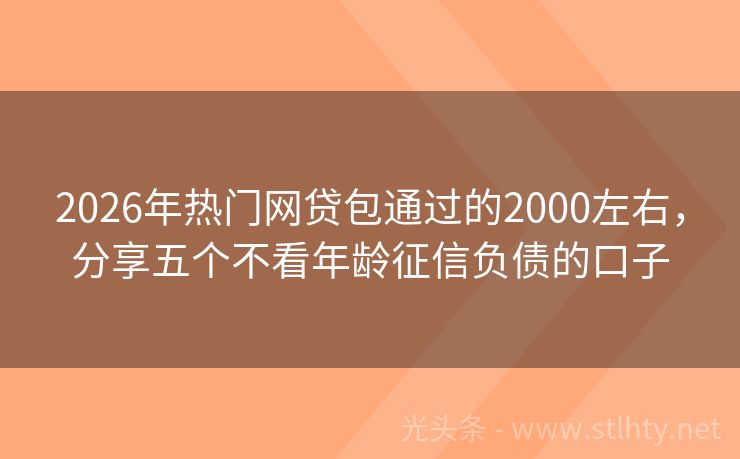 2026年热门网贷包通过的2000左右，分享五个不看年龄征信负债的口子