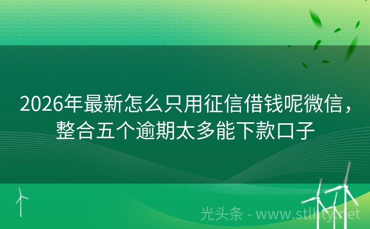 2026年最新怎么只用征信借钱呢微信，整合五个逾期太多能下款口子