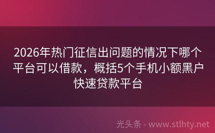 2026年热门征信出问题的情况下哪个平台可以借款，概括5个手机小额黑户快速贷款平台