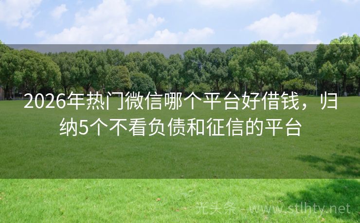 2026年热门微信哪个平台好借钱，归纳5个不看负债和征信的平台