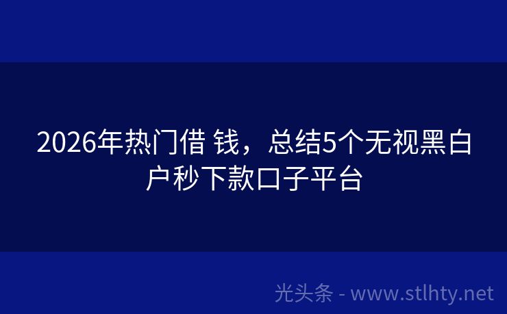 2026年热门借 钱，总结5个无视黑白户秒下款口子平台