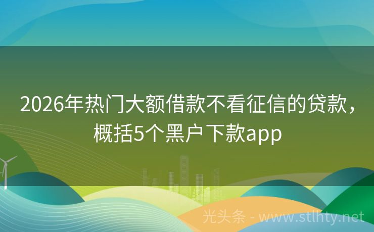 2026年热门大额借款不看征信的贷款，概括5个黑户下款app