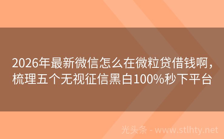 2026年最新微信怎么在微粒贷借钱啊，梳理五个无视征信黑白100%秒下平台