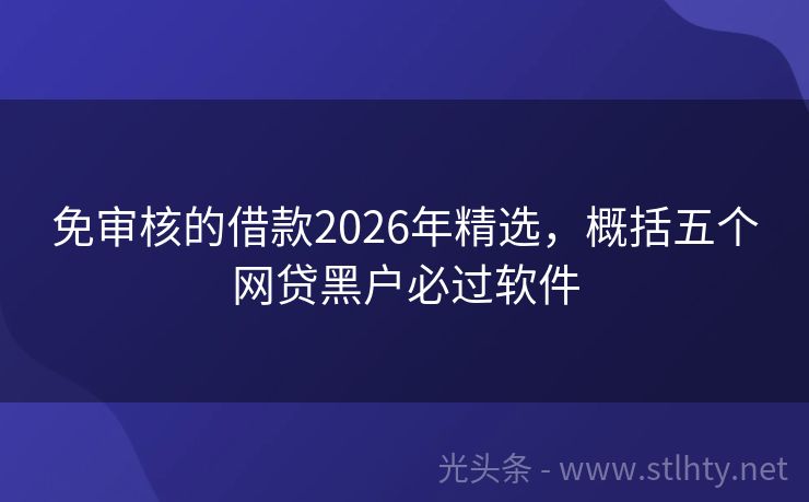 免审核的借款2026年精选，概括五个网贷黑户必过软件