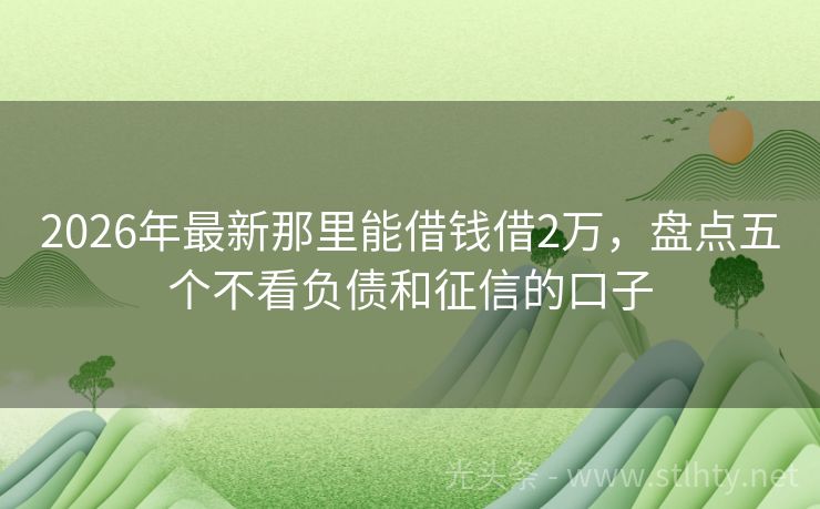 2026年最新那里能借钱借2万，盘点五个不看负债和征信的口子
