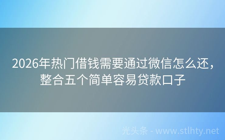 2026年热门借钱需要通过微信怎么还，整合五个简单容易贷款口子