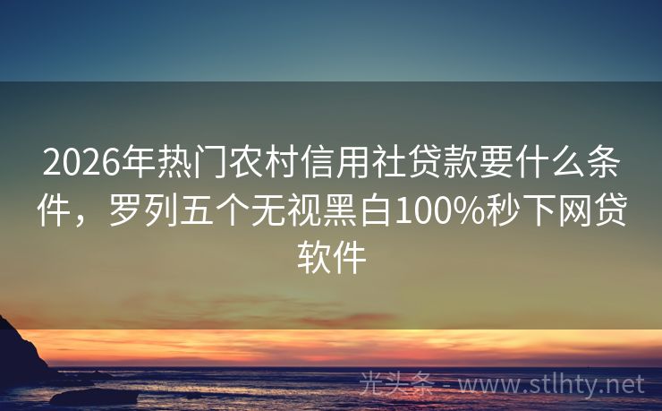 2026年热门农村信用社贷款要什么条件，罗列五个无视黑白100%秒下网贷软件